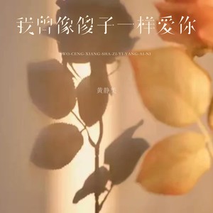 我曾像傻子一样爱你