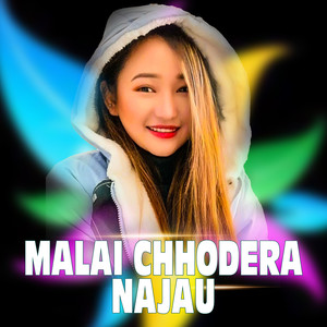 Malai Chhodera Najau (Freestyle)