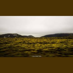 镶进冰岛马的肋骨