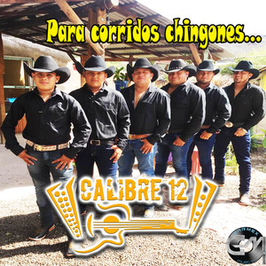 Corridos Chingones