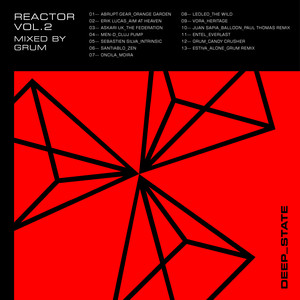 Reactor, Vol. 2 (DJ Mix)