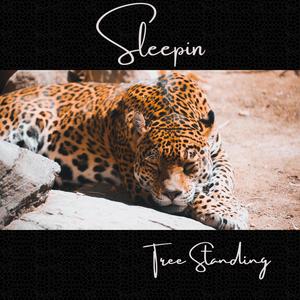 Sleepin (Explicit)