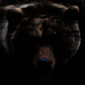The Bear