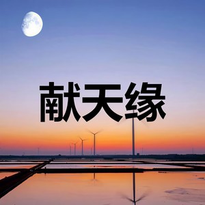 陈秋娜 - 甜甜咸咸 (Remix)