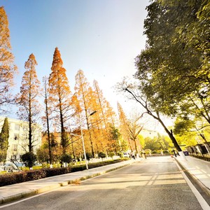 因为梦想 (伴奏)