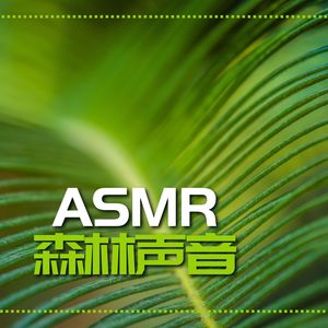 ASMR森林声音 – 令你深度放松的大自然白噪音、风、鸟儿、叶子