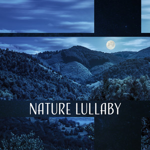 Nature Lullaby - Melodies for Deep Sleep, Relaxing Forest, Healing Waters, Cleansing Rain