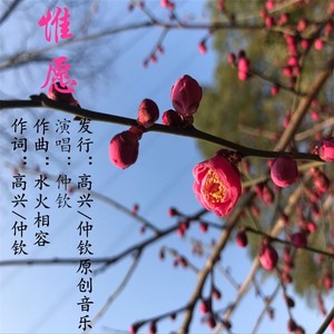 仲钦 - 惟愿踢踏舞 (女声版)