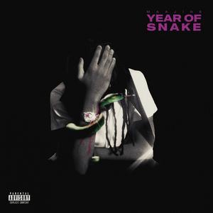 Year Of Snake (Explicit)
