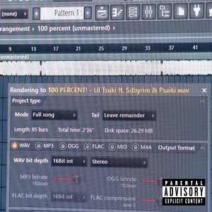 100 PERCENT! (Explicit)