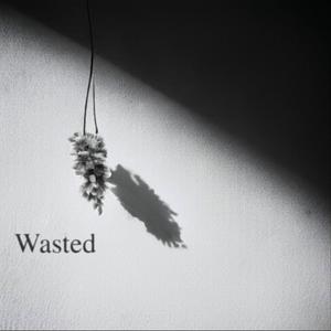 Wasted (Explicit)