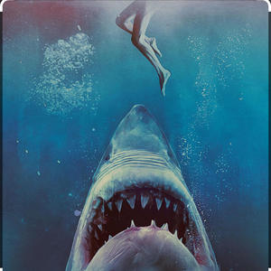 Shark in the water (Explicit)