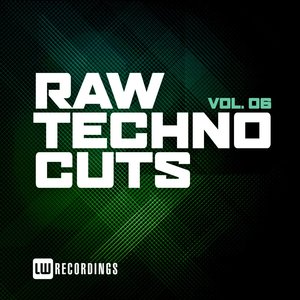 Raw Techno Cuts, Vol. 06 (Explicit)