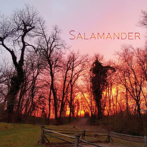 Bosa in nova hodim v Rezijo