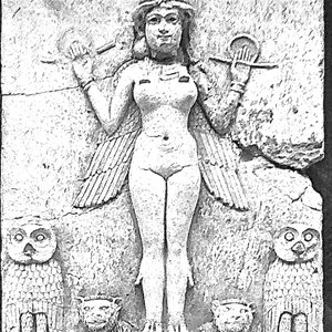 In Search of the Divine (口白)