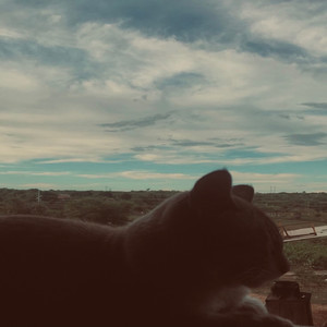 I love blonde (Explicit)