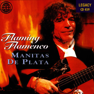 Flaming Flamenco