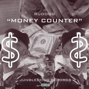 MONEY COUNTER (Explicit)