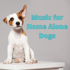 Music For Puppies