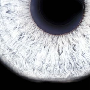 Scattered (Dark Side) (Remix)