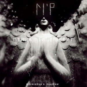 Птица птице верит