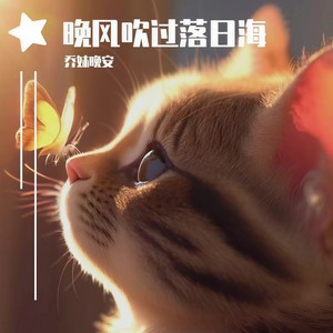晚风吹过落日海封面