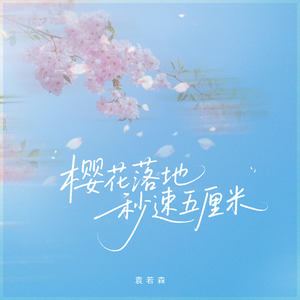 樱花落地秒速五厘米