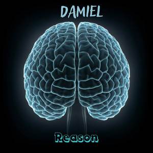 Reason (Explicit)