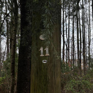 Wrath (feat. luvdosi)