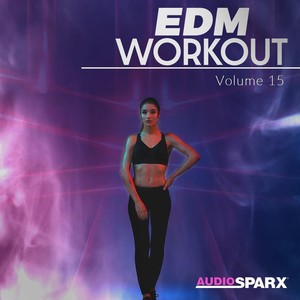 EDM Workout Volume 15
