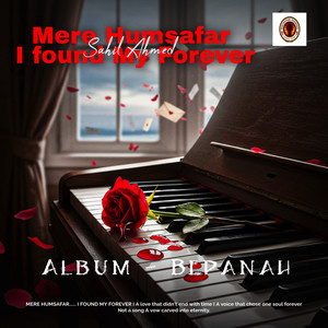 Mere Humsafar - I Found My Forever'