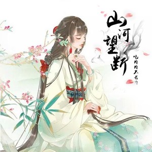 山河望断 (DJ版)封面