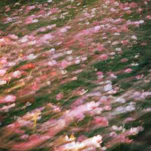 一滴泪的时间 (女声R&B版)