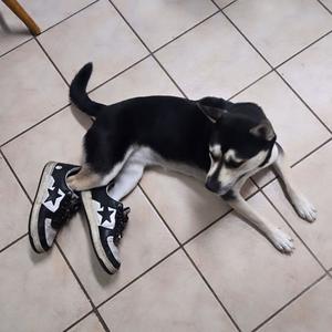 SLIME TIME (Explicit)