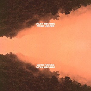 Play No Fool (Explicit)