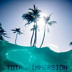 :Total Immersion