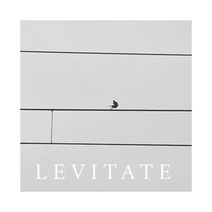 Levitate