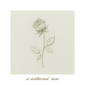 a withered rose