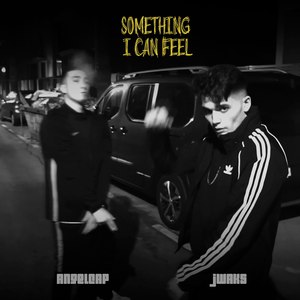 Something I Can Feel (Explicit)