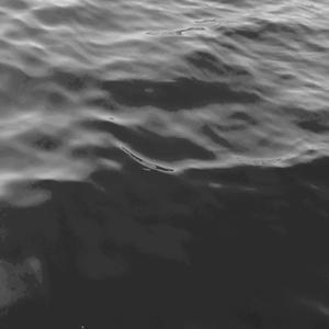 Concious Conciouness