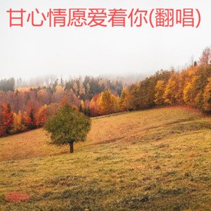 甘心情愿爱着你