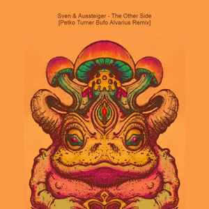 The Other Side (Petko Turner Bufo Alvarius Remix)