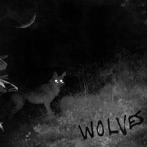 WOLVES (feat. Lead Ali) [Explicit]