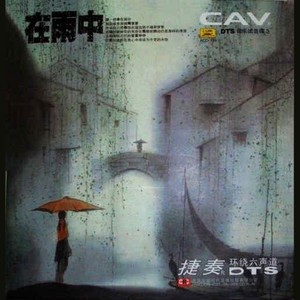 我只愿为你守约