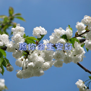 爱的沉重 (伴奏)