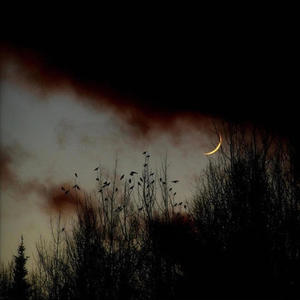 DOWNFALL 2X (feat. stasheduzis) (Explicit)