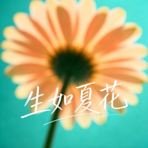 生如夏花 (空灵女声版)封面