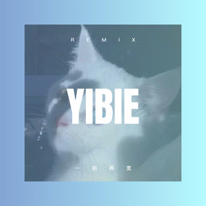 别再让我等太久 (DJ咕咚版)