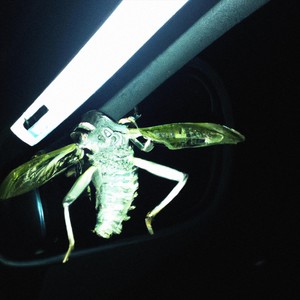 it seems hope in the air.