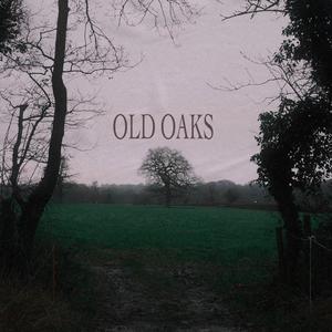 Old Oaks (Acoustic)